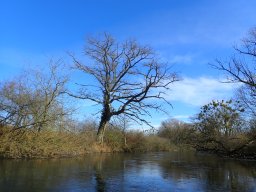 Groschenwasser, Februar 2026